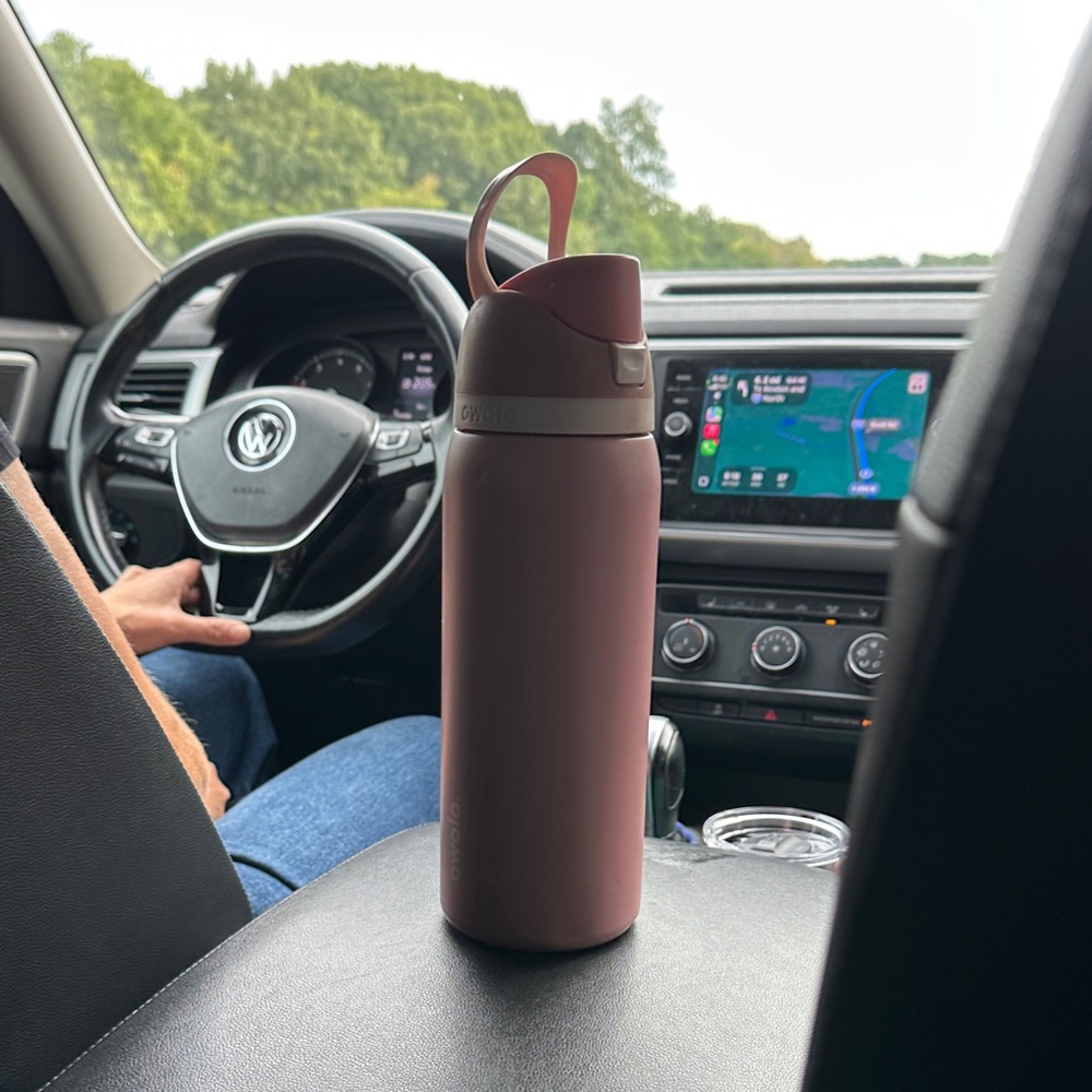 Insulated Travel Bottle - Dusty Rose